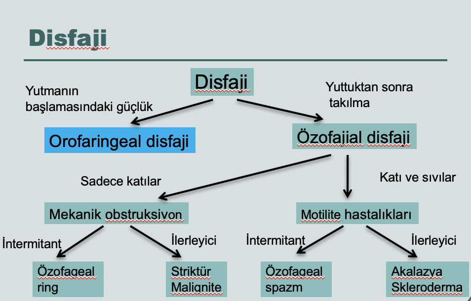 Disfaji tanısı